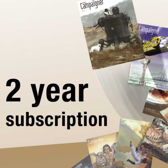 2 year subscription